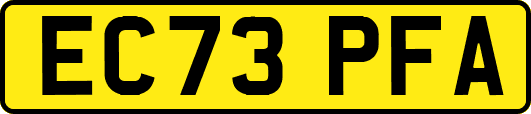 EC73PFA