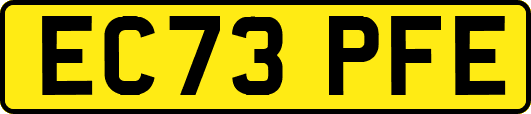 EC73PFE