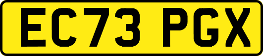 EC73PGX