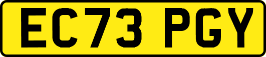 EC73PGY