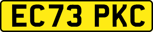 EC73PKC