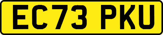 EC73PKU