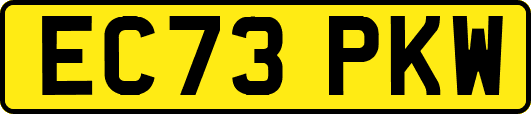 EC73PKW