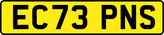 EC73PNS