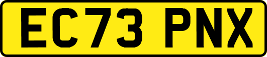 EC73PNX