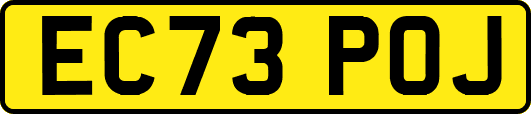 EC73POJ