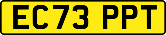 EC73PPT