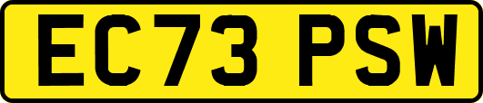 EC73PSW