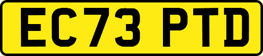 EC73PTD