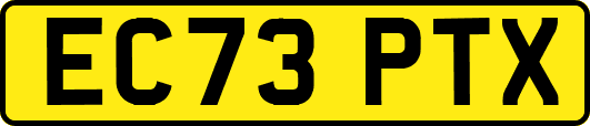 EC73PTX
