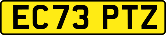 EC73PTZ