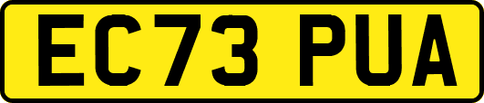 EC73PUA