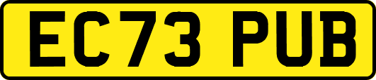 EC73PUB