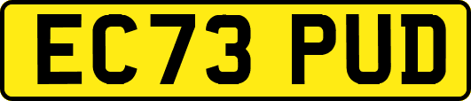 EC73PUD