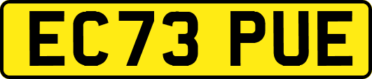 EC73PUE