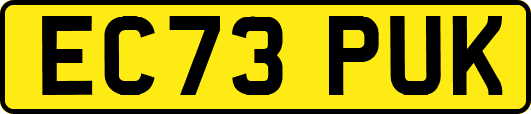 EC73PUK