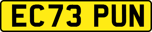 EC73PUN