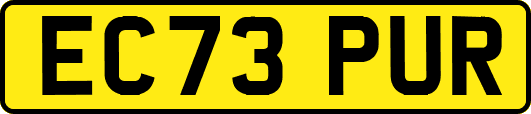 EC73PUR