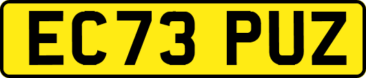 EC73PUZ