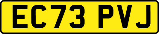 EC73PVJ