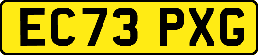 EC73PXG