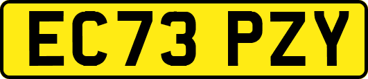 EC73PZY