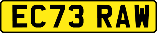 EC73RAW