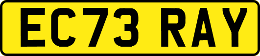 EC73RAY