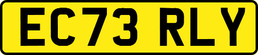 EC73RLY