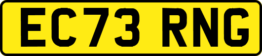EC73RNG