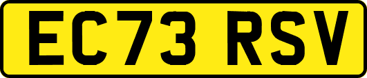 EC73RSV