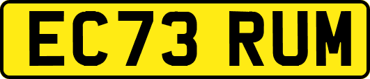 EC73RUM