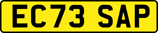 EC73SAP