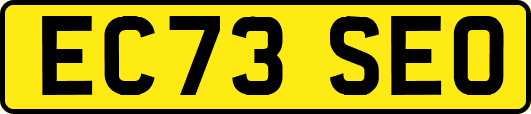 EC73SEO