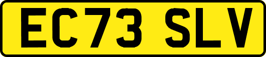EC73SLV