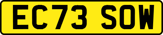 EC73SOW
