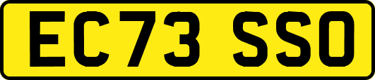 EC73SSO