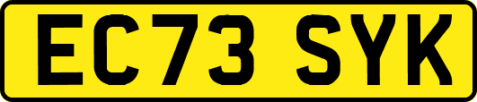 EC73SYK