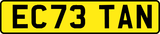 EC73TAN