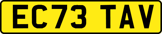 EC73TAV