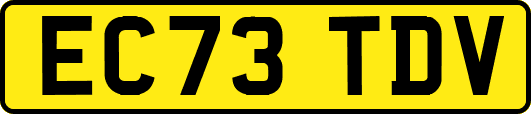 EC73TDV