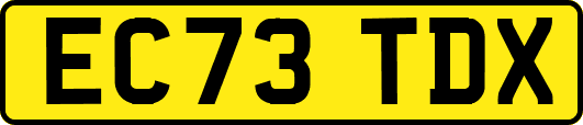 EC73TDX