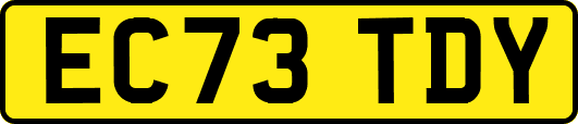 EC73TDY