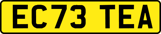 EC73TEA