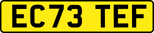 EC73TEF