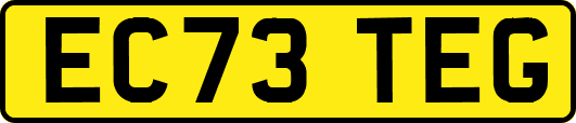 EC73TEG
