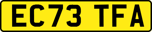 EC73TFA