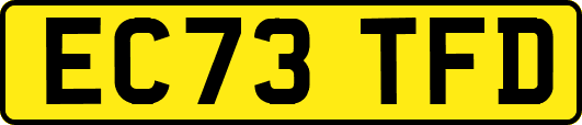 EC73TFD