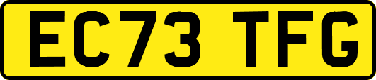 EC73TFG