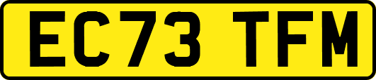 EC73TFM